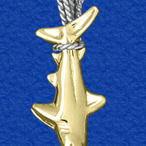 Medium Tail Hung Shark