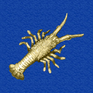 Large Florida Spiny Lobster