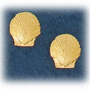 Scallop Shell Earrings