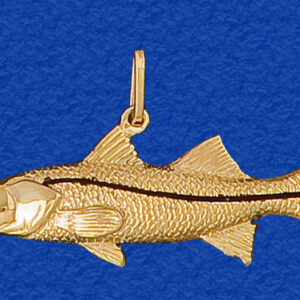 Snook