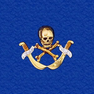 Skull and Crossbones with Diamond Cutlasses
