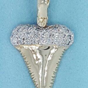 SMALL DIAMOND CAPPED SHARK TOOTH