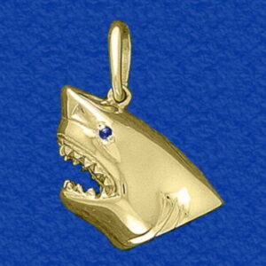 Great White Shark Head