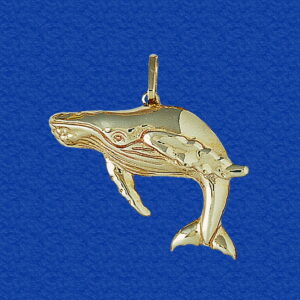 Large Humpback Whale
