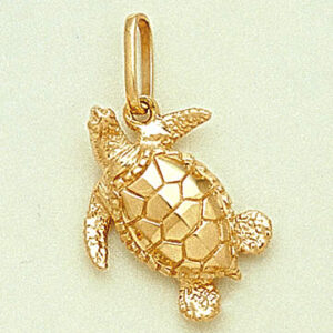 Turtle