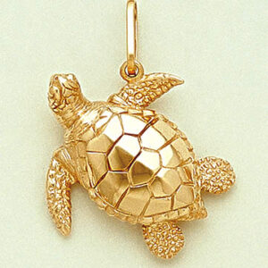 Big Sea Turtle