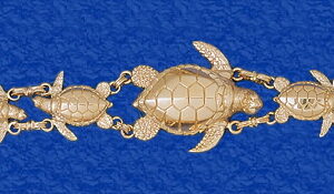 Momma Turtle and her Little Ones