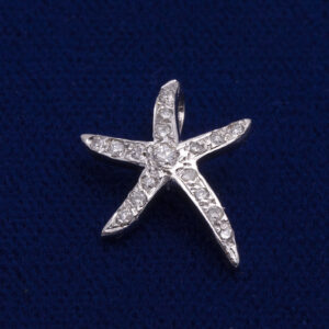 Small Starfish