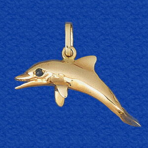 Porpoise
