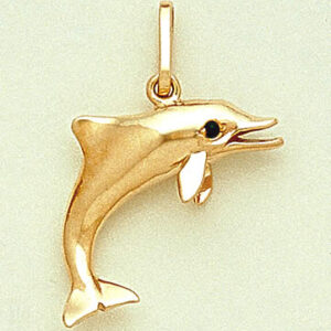 Medium Porpoise