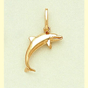 Leaping Porpoise