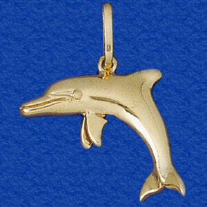 Bottlenose