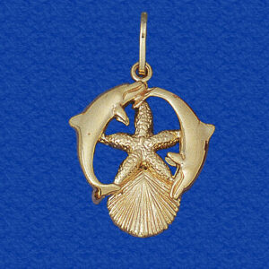 Porpoise and Shells