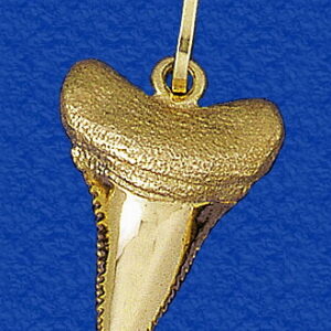 14K Great White Shark Tooth