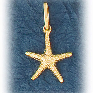 Skinny Starfish Pendant