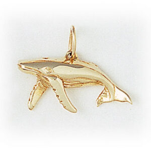 Medium Humpback Whale