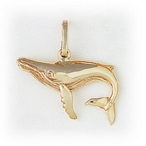 Humpback Whale